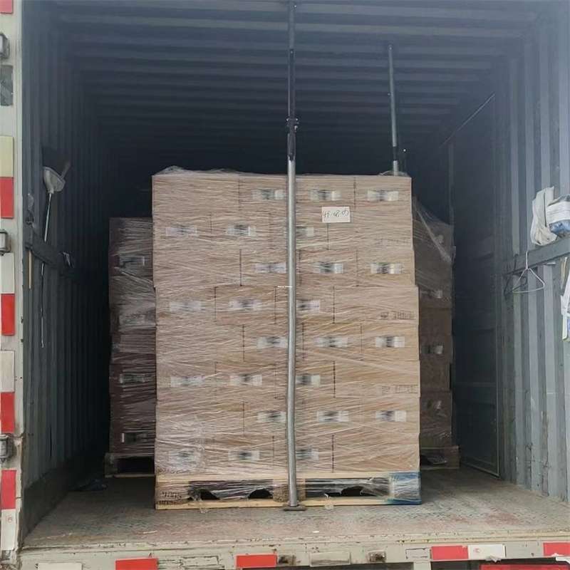 甘肃省龙岩市物流专线运输：多元服务与高效体验